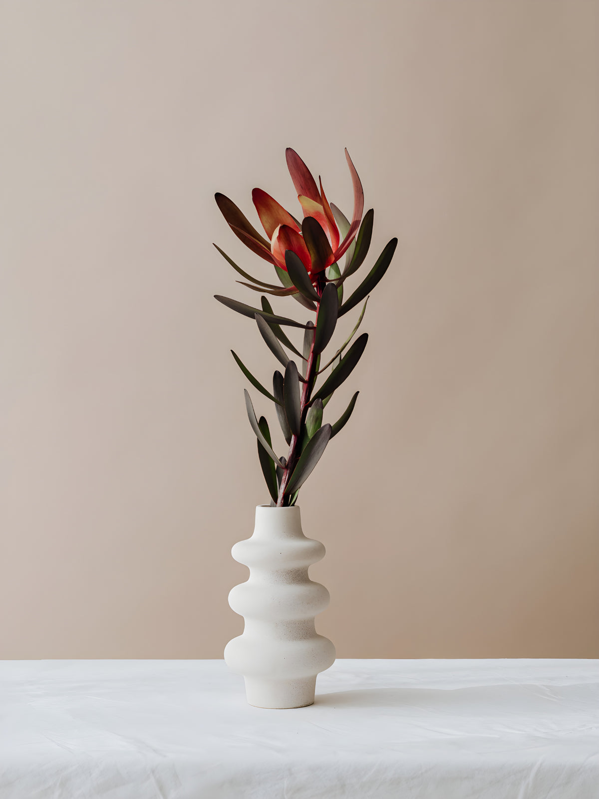 ECHO — Sculptural Vase