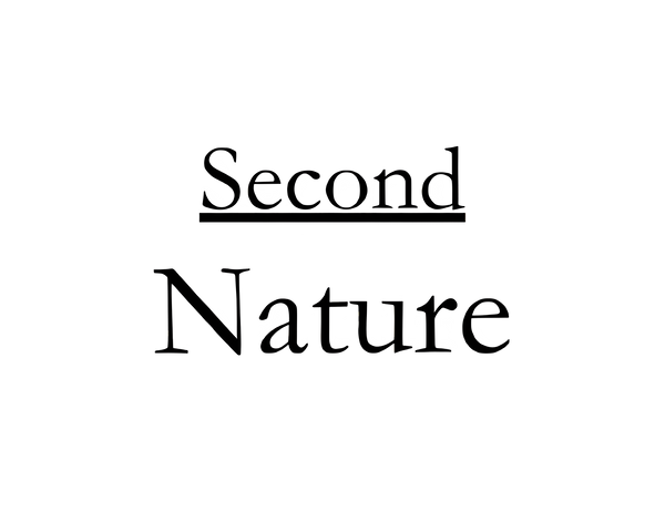 My Store