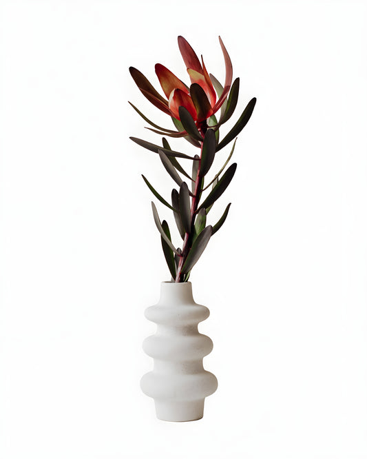 ECHO — Sculptural Vase